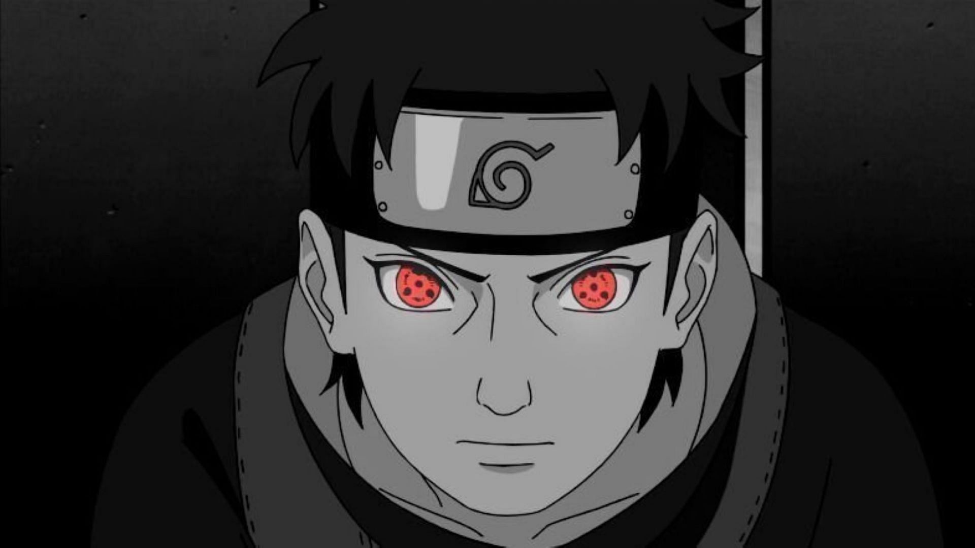Taking a look at Shisui