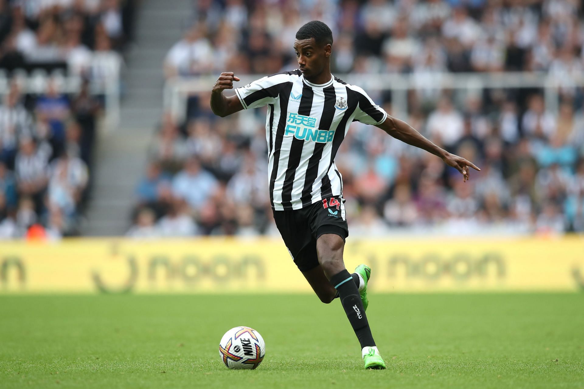 Newcastle United v Crystal Palace - Premier League