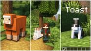 Special Name Tag Names Minecraft