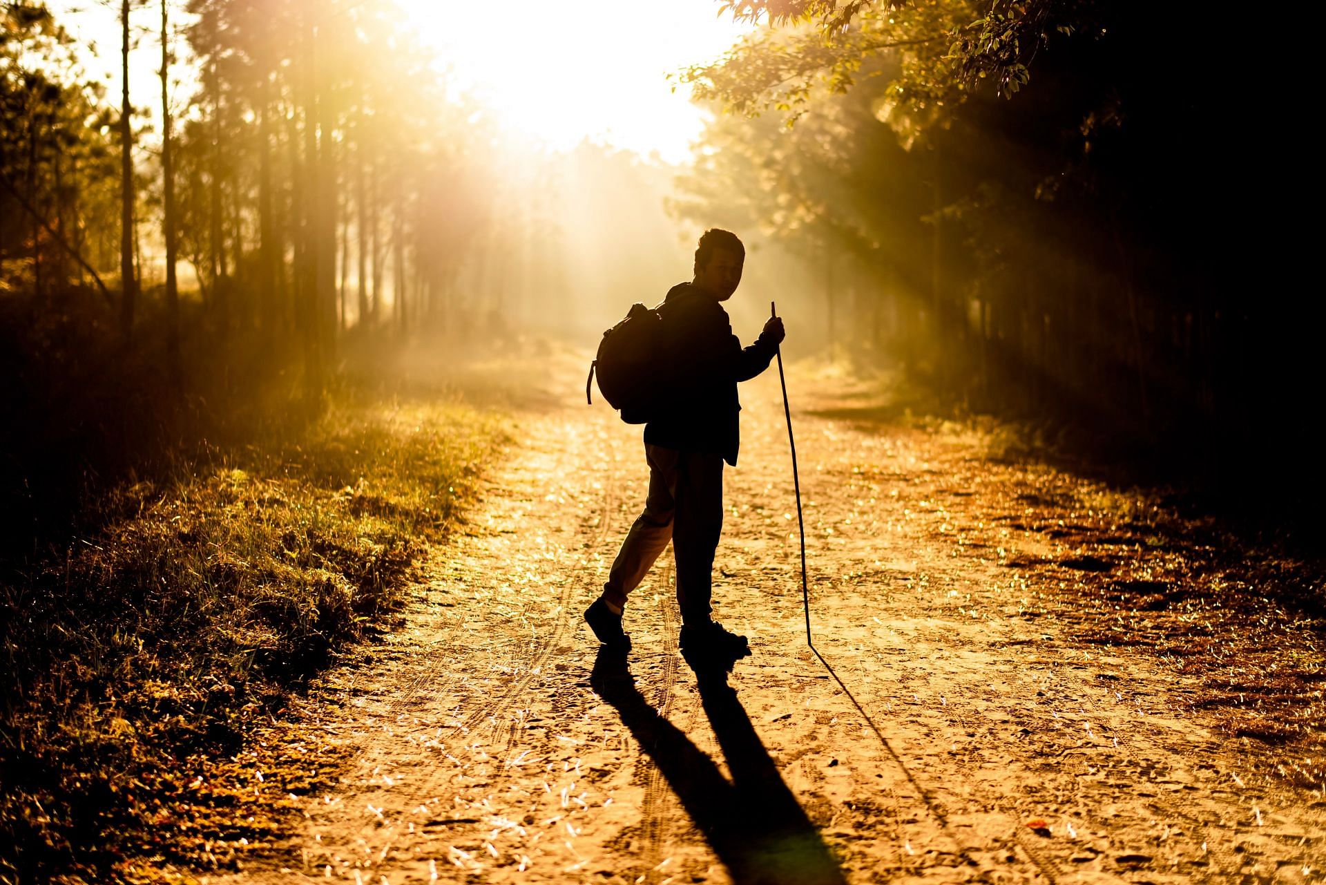 Nordic walking is an intense, but rewarding walking exercise (Image via unsplash/Mr. Autthaporn Pradipong)