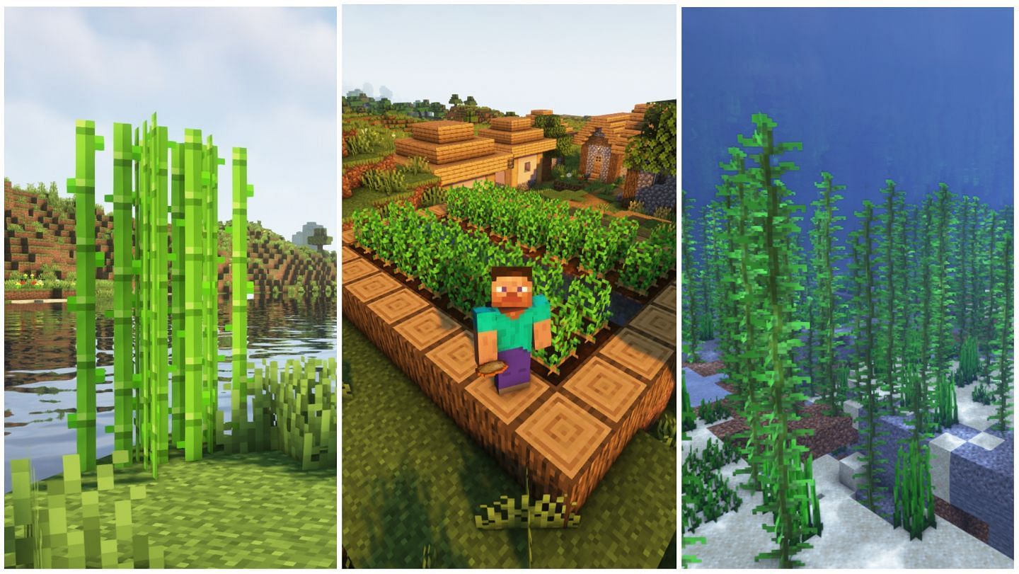 Minecraft crops (Image via Mojang)