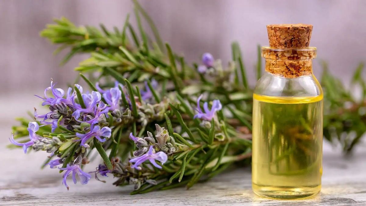 Top 5 benefits of rosemary oil