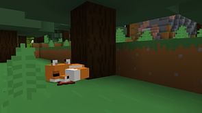 How to tame foxes in Minecraft 1.19