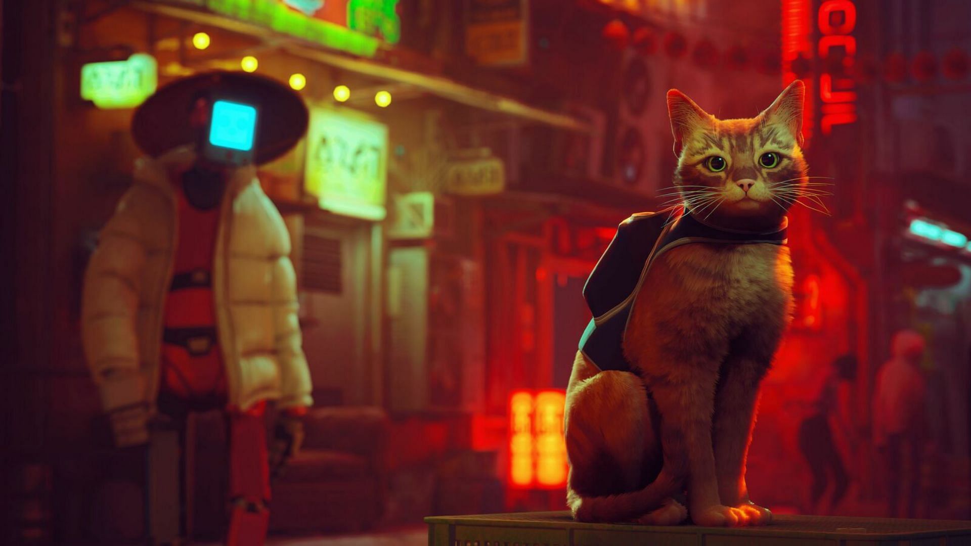 Top 5 video game cats of all time