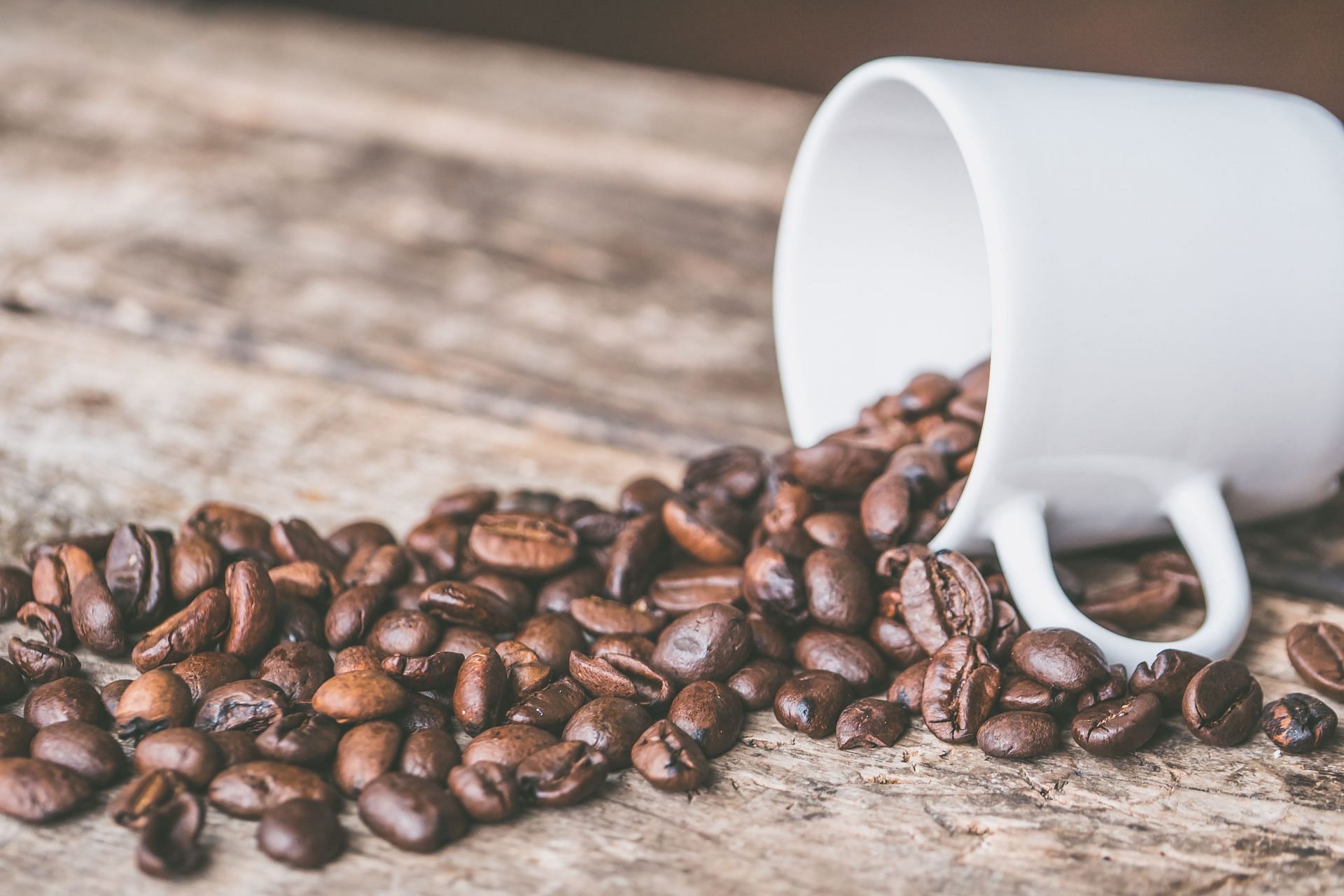 Is Coffee Healthy? - Why the Arabica Coffee Bean Species Is Best