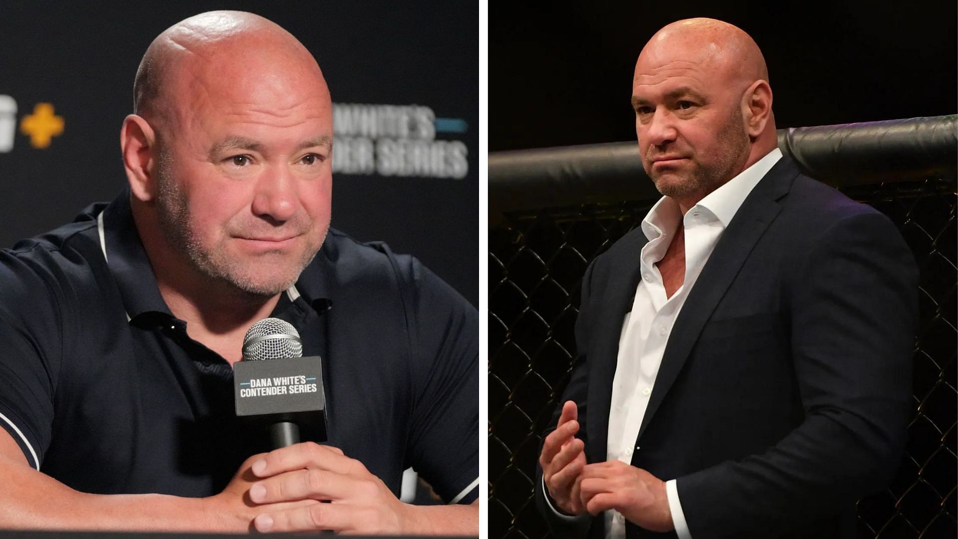 Dana White is the president of the Ultimate Fighting Championship
