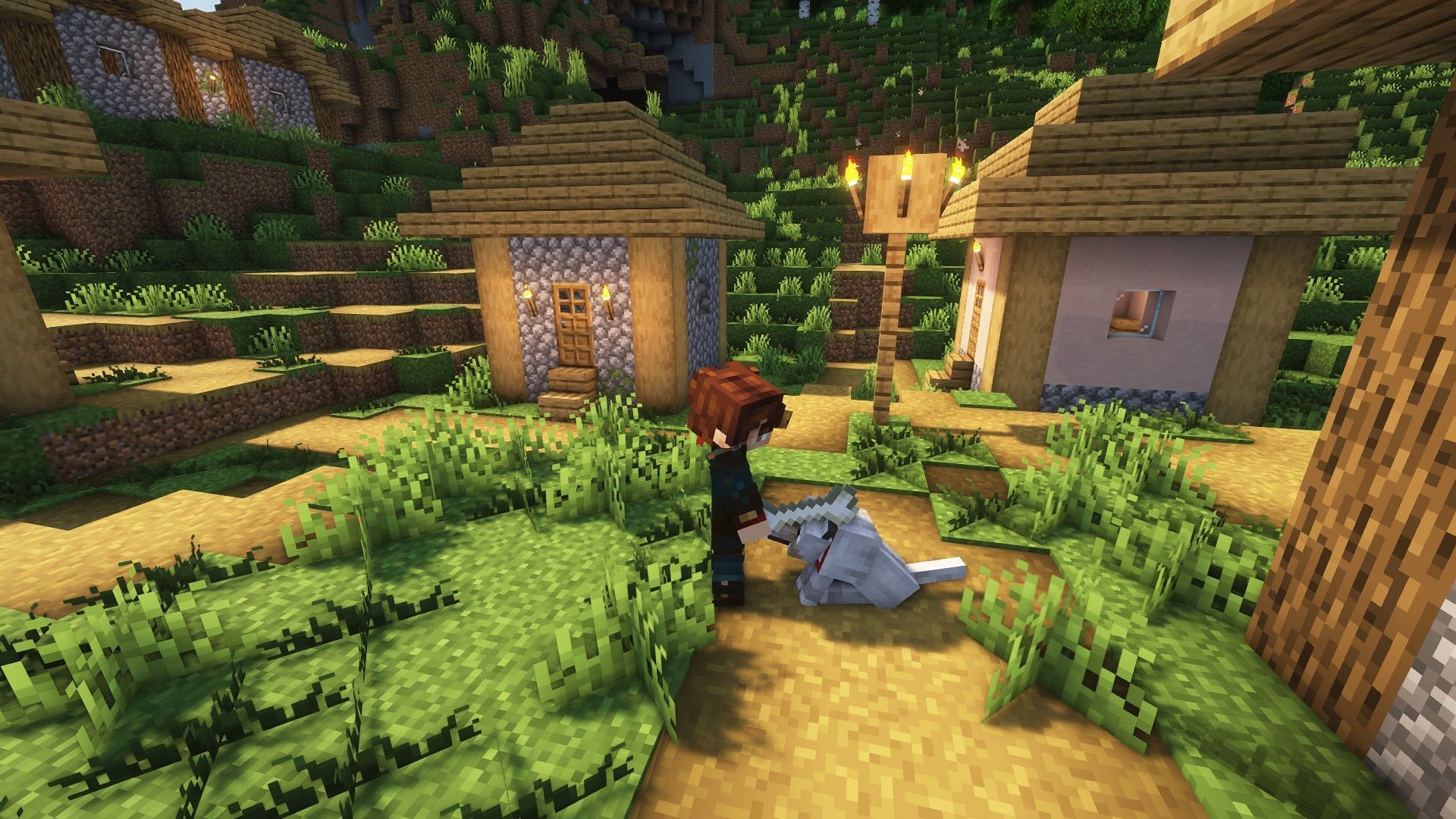 Wolves need to be fed bones to be tamed (Image via Mojang)