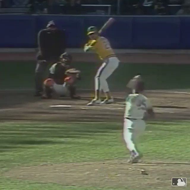 Baseball Player Dave Winfield Accidentally Kills Seagull, Raises