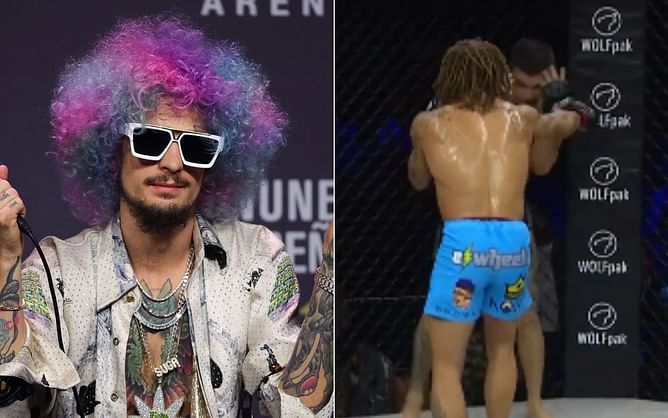 WATCH: Sean O'Malley's teammate scores impressive TKO win