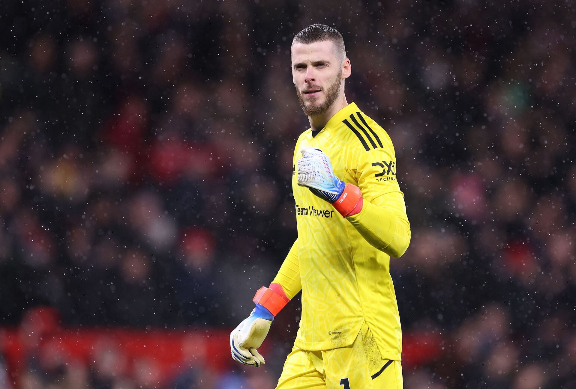 David De Gea wants to continue with Manchester United