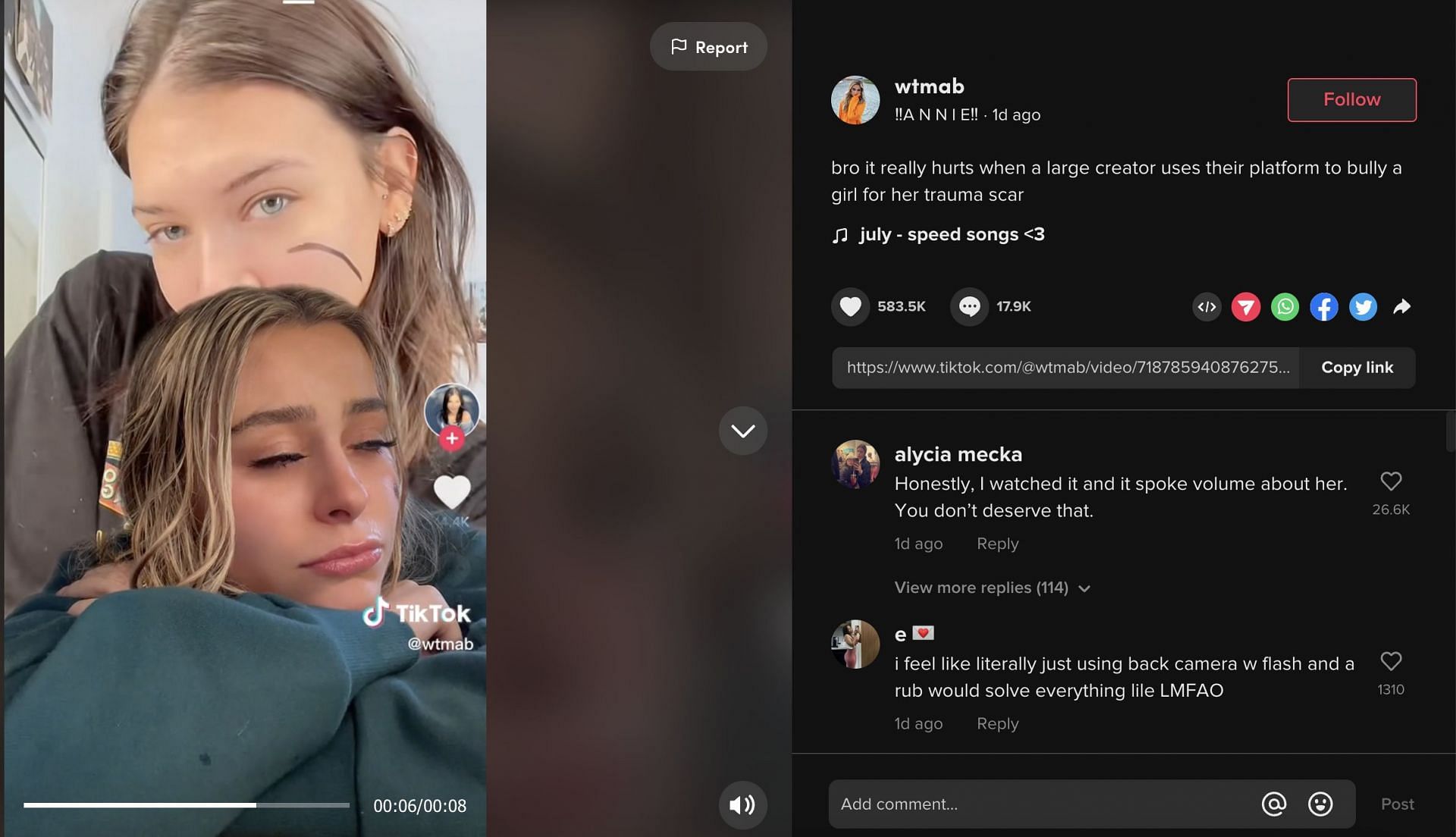Annie created a TikTok video alleging that Mads bullied her in her recent TikTok video. (Image via TikTok)