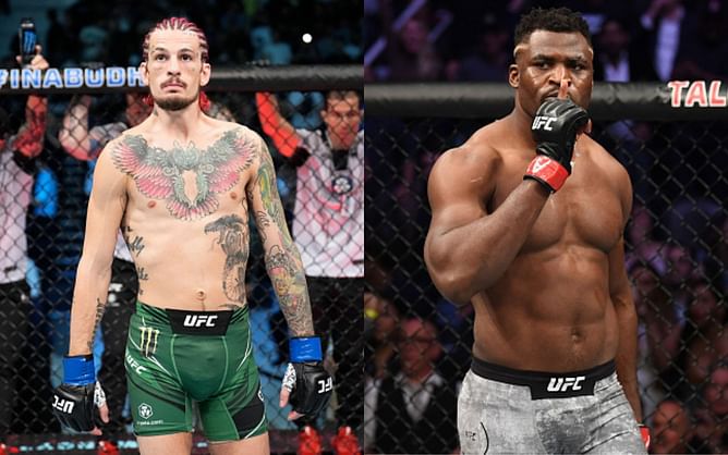 Sean O'Malley talks about Francis Ngannou's free agency and a potential PFL move