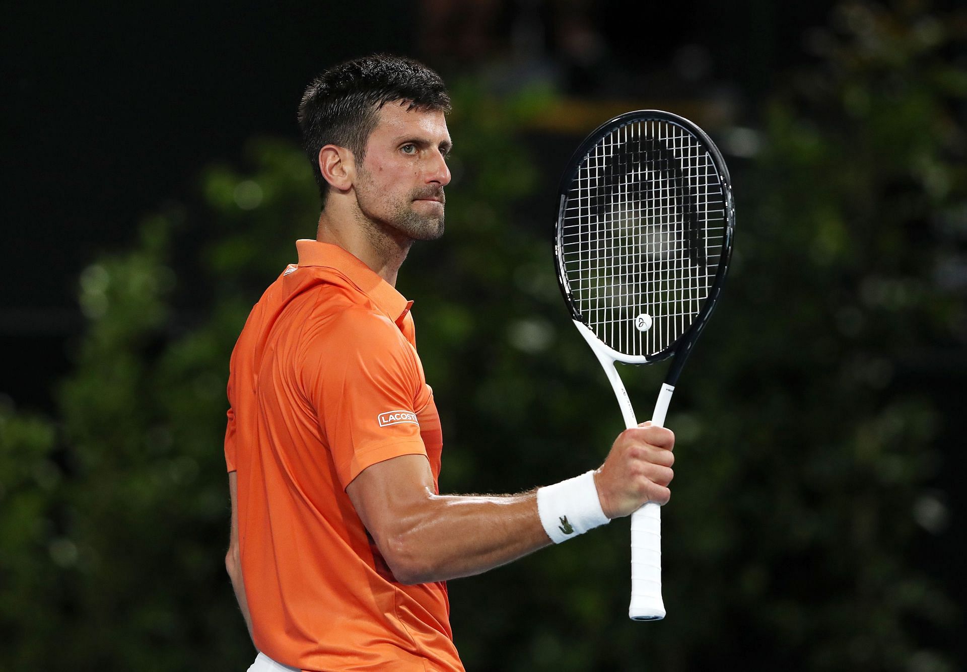 Novak Djokovic during the Adelaide 1 semifinals