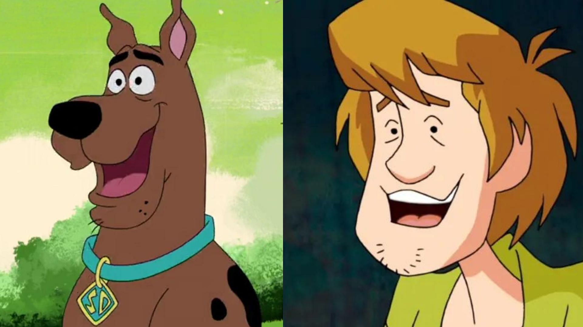 Scooby Doo and Shaggy (images via WB Animation)