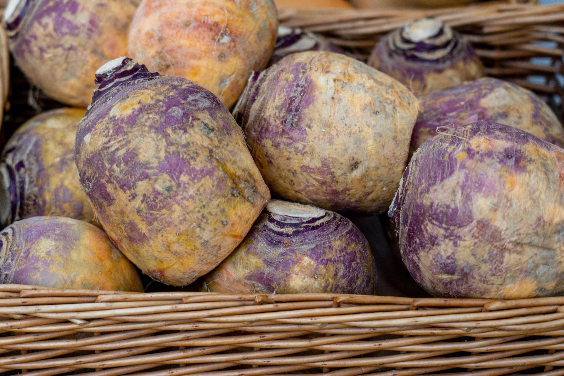 Rutabaga is loaded with nutrients and easy to cook. (Image via Unsplash / Nick Fewings)