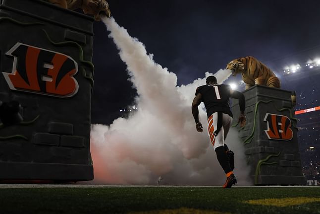 Best NFL DFS Picks for Sunday: Ravens vs. Bengals- January 8 | 2023 NFL Regular Season