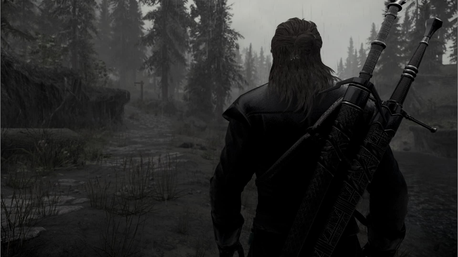 Witcher 3 Geralt dual swords Skyrim mods (Image via Nexus Mods website)