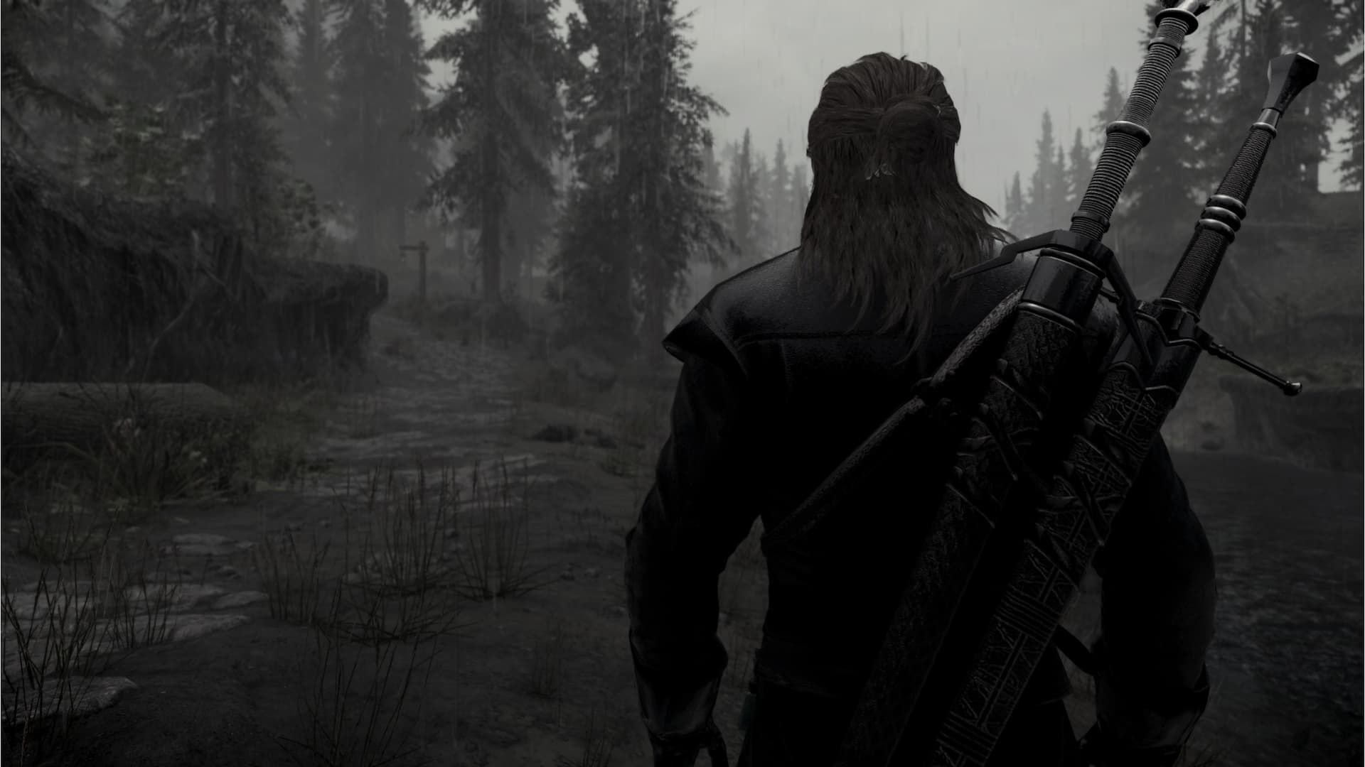 Best Skyrim Mods Based on The Witcher (Weapons, Armor, & More