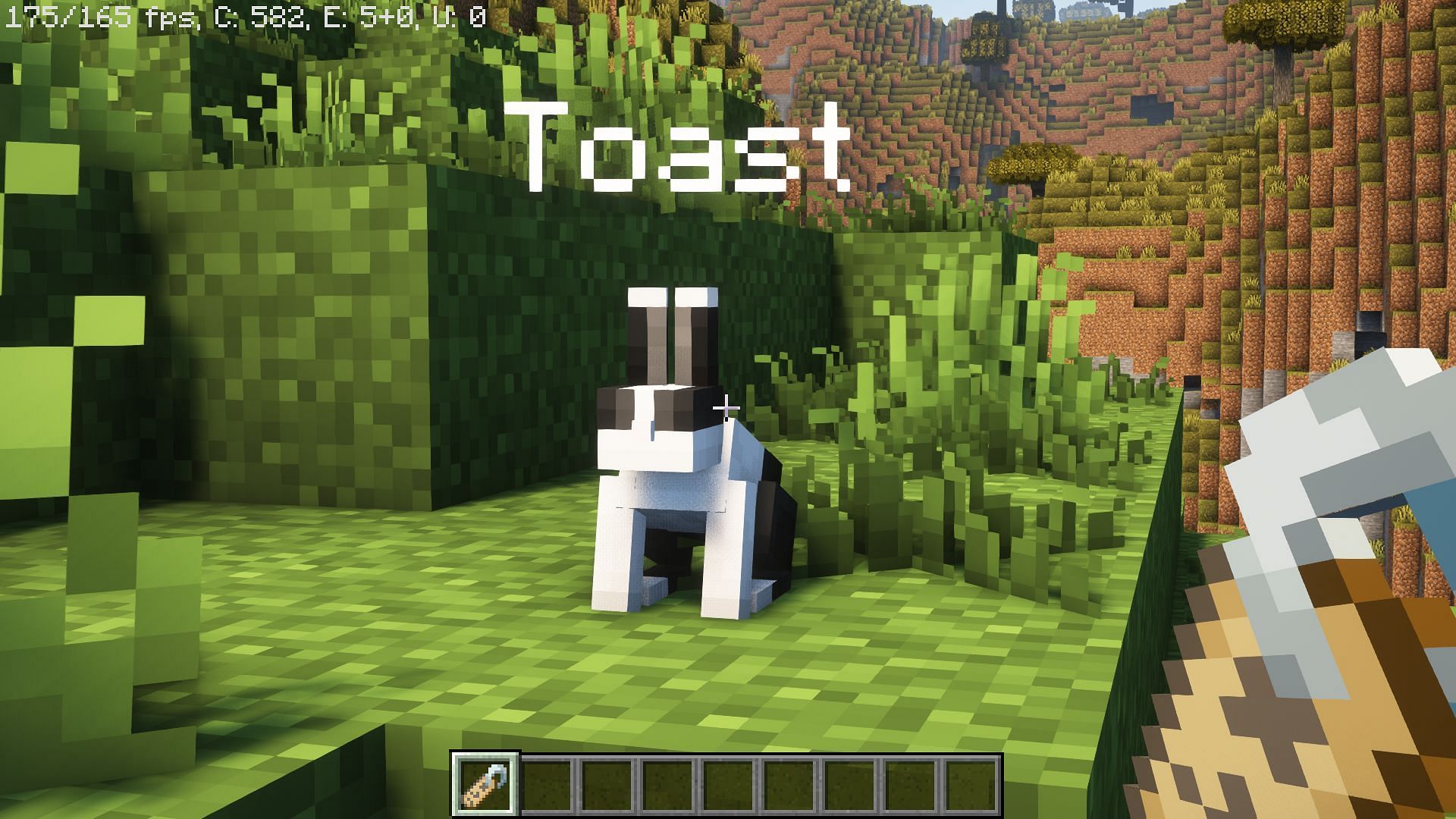 A rabbit named &quot;Toast&quot; (Image via Mojang)