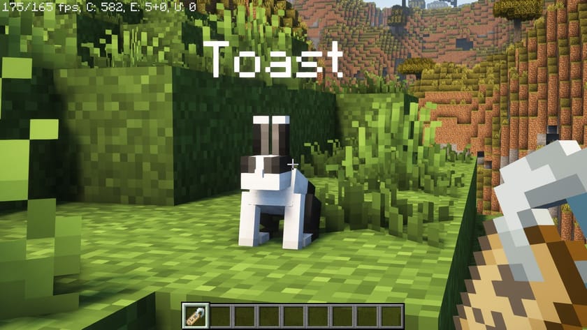 Every Minecraft name tag trick in 2023
