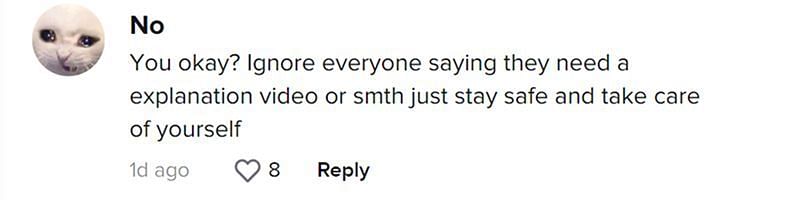 A comment seen on Libby&#039;s TikTok (Image via TikTok/ @No)