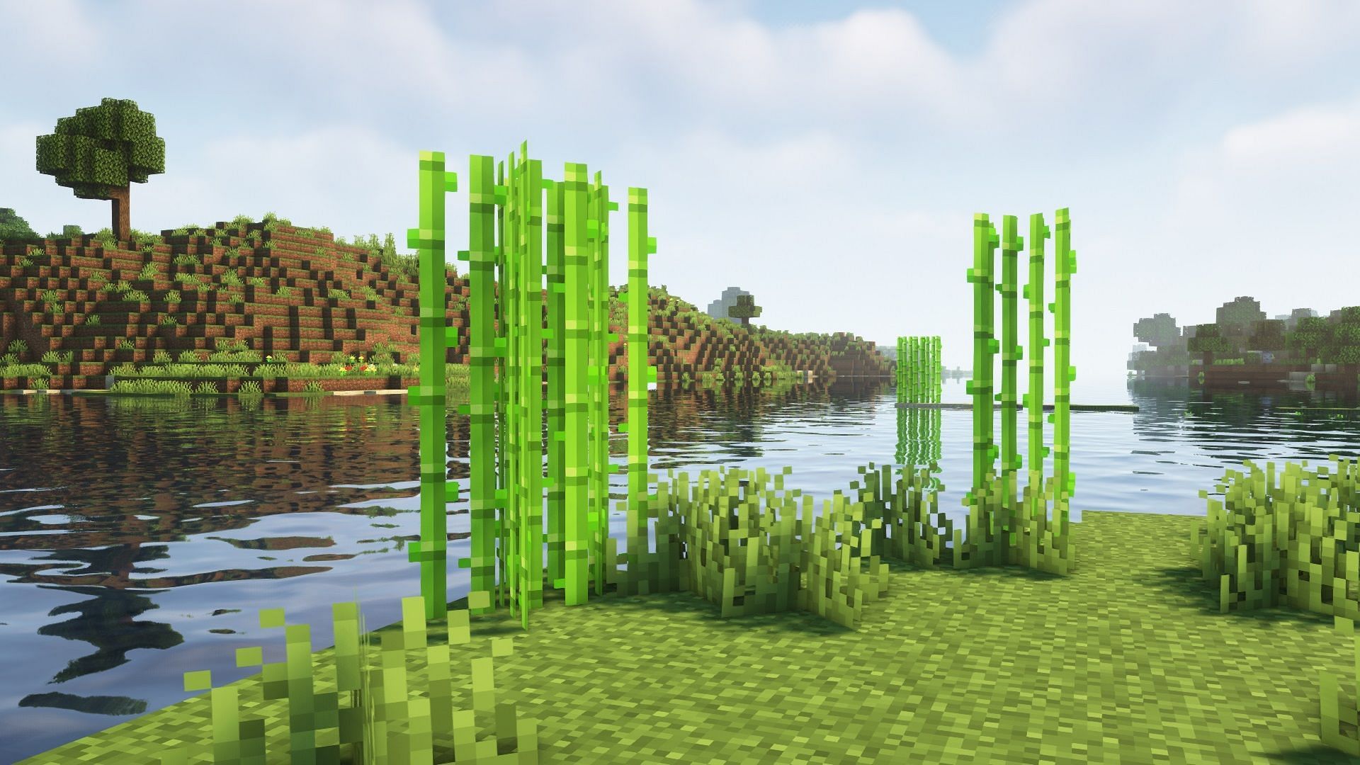 Naturally generated sugar cane in Minecraft (Image via Mojang)
