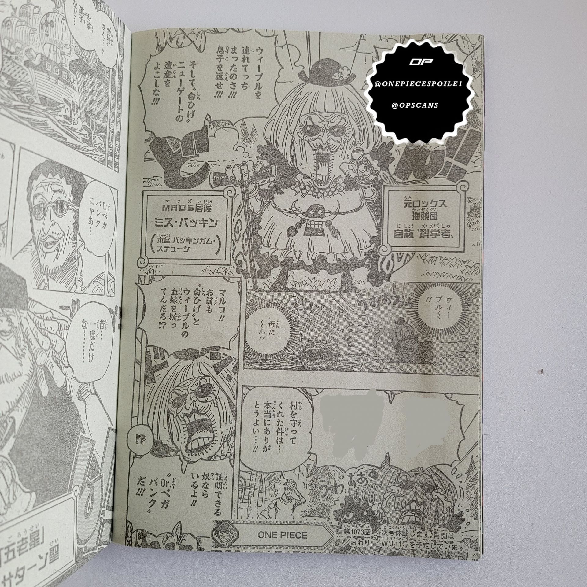 Miss Bakkin crying to Marco in One Piece Chapter 1073 (Image via Eiichiro Oda)