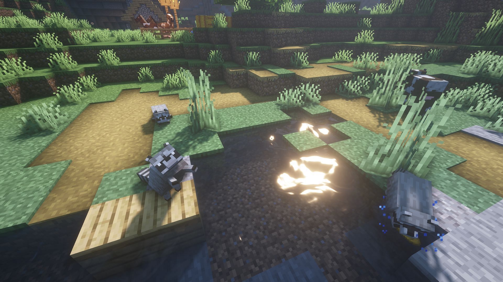 Raccoons added in Minecraft thanks to Alex&#039;s Mobs (Image via sbom_xela/CurseForge)