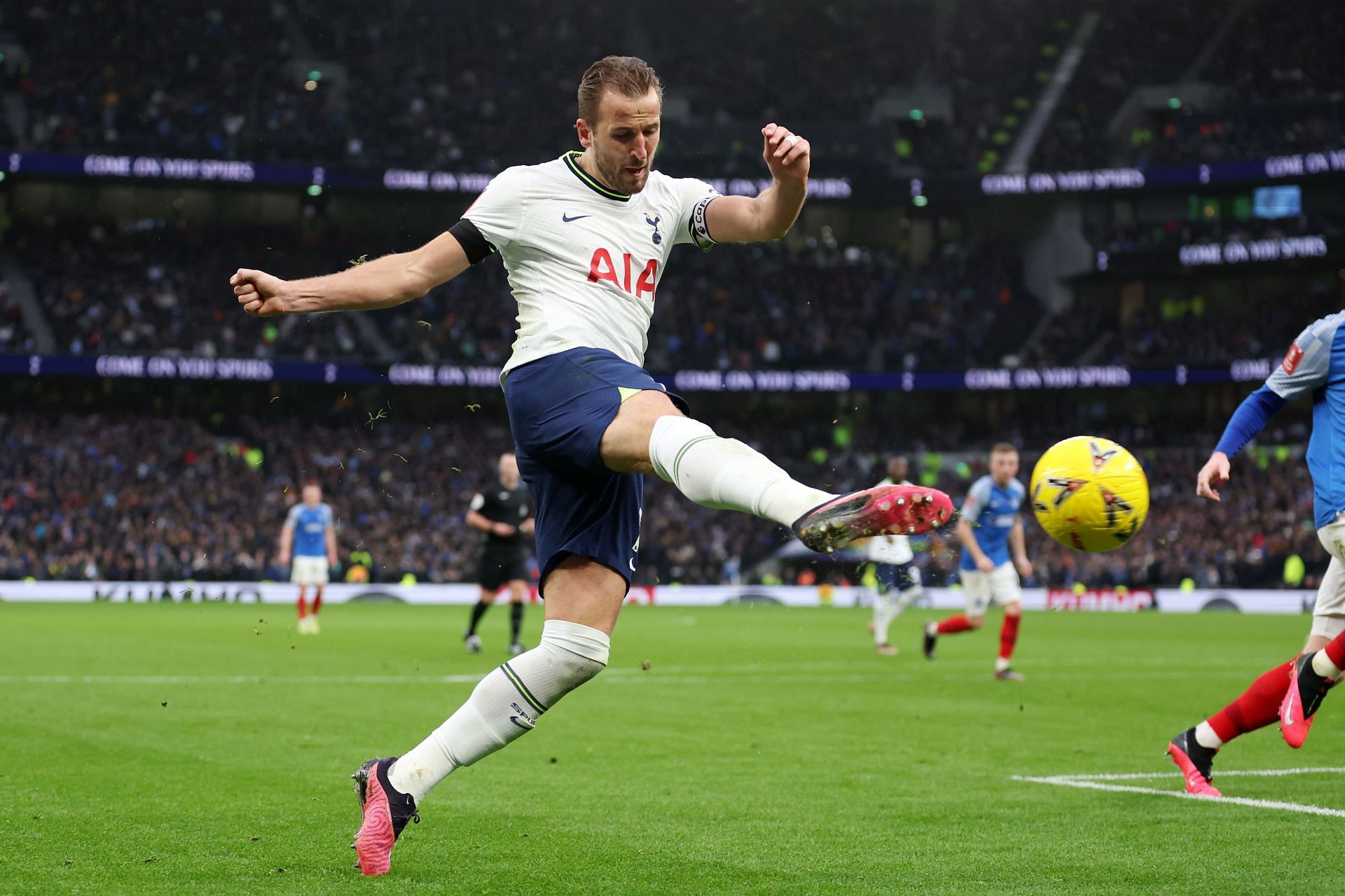 Harry Kane is backed to replace Karim Benzema.