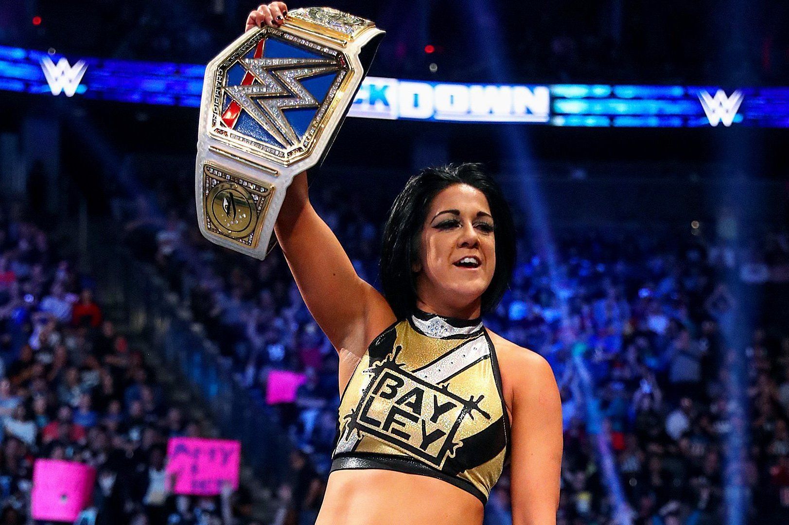 Bayley is the leader of Damage Ctrl