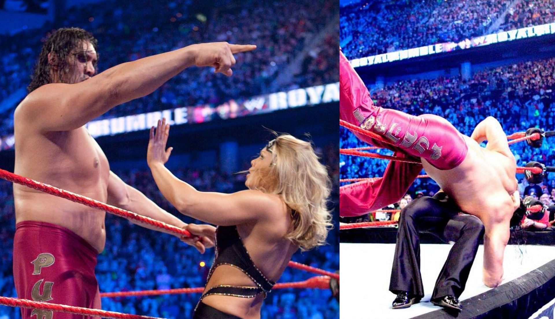 WWE Royal Rumble 2010 में बेथ फीनिक्स आईं थीं 