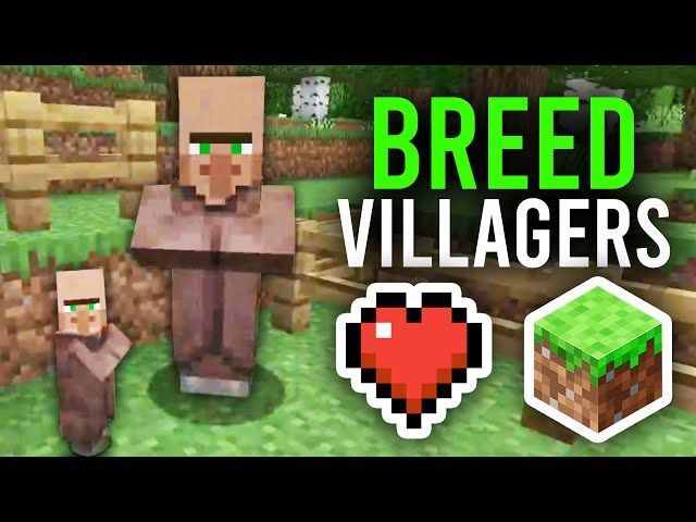 How to get every type of villager in Minecraft