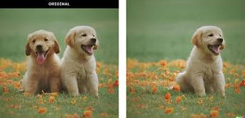 5 best AI-based photo editing tools you must check out in 2023