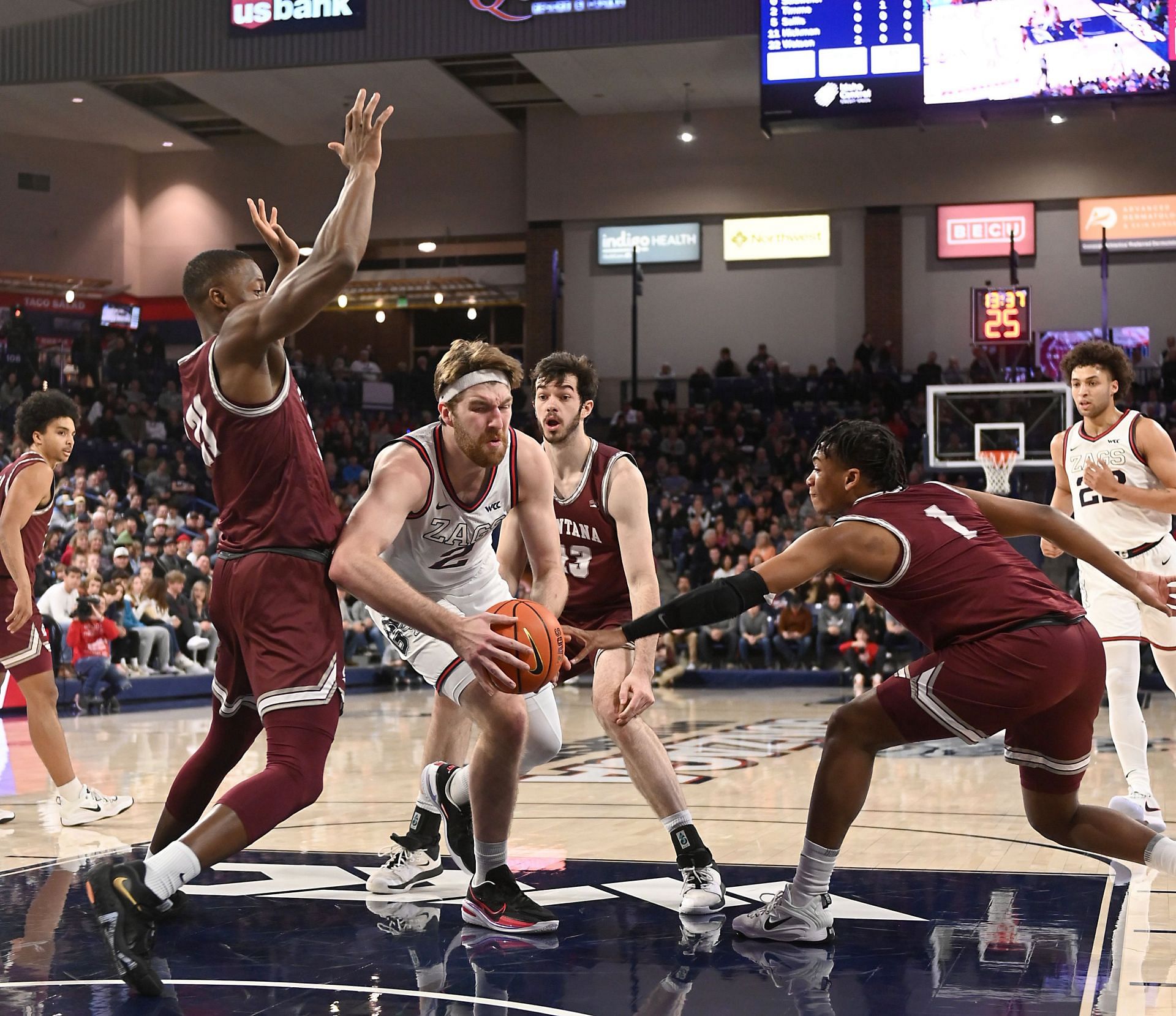 Montana v Gonzaga