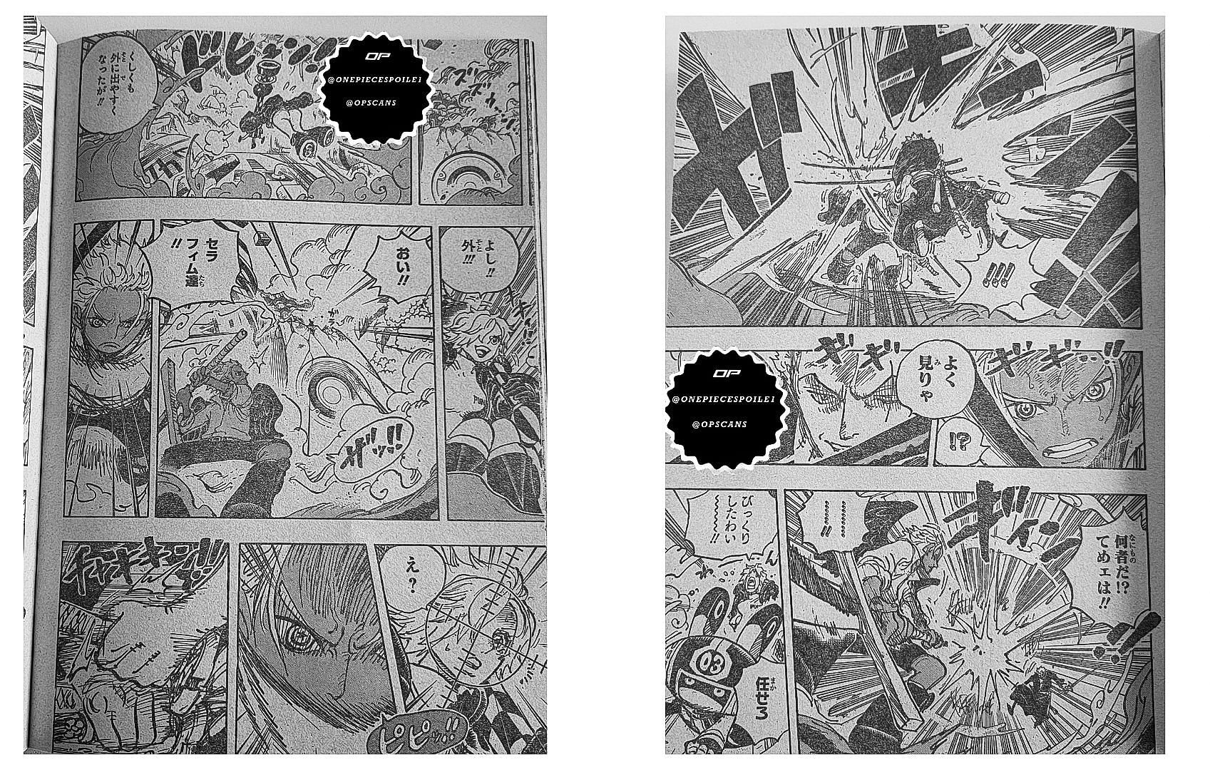 Zoro and S-Hawk figths each other in One Piece chapter 1073 (Image via Eiichiro Oda)