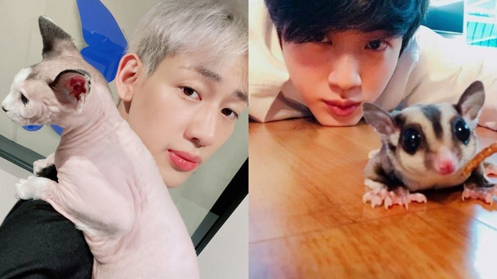 5 K-pop idols with the most unique pets (Image via Twitter/@noppawannn_,@itsapjm)