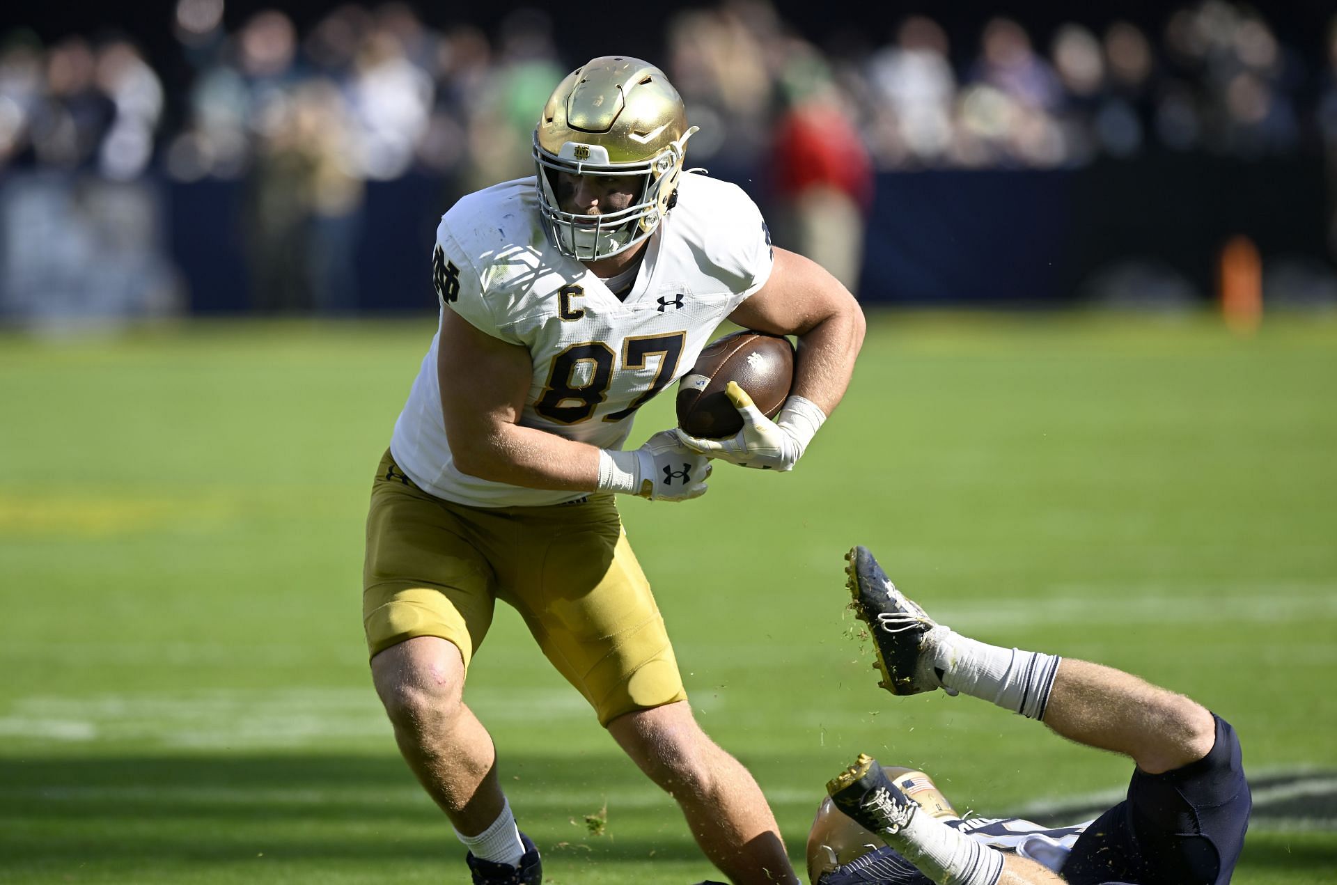 Dave Casper - Notre Dame - TE  Norte dame football, Fighting irish  football, College football players