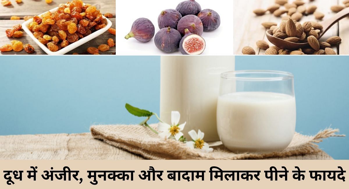दूध में अंजीर, मुनक्का और बादाम मिलाकर पीने के फायदे(फोटो-Sportskeeda hindi)