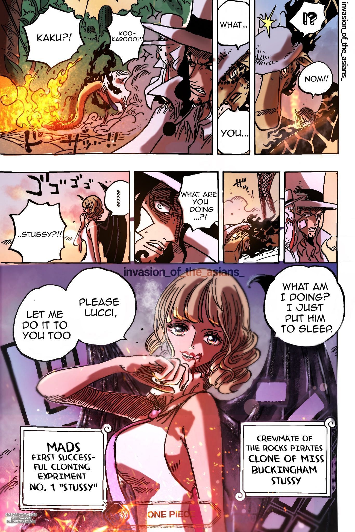 Stussy&#039;s Devil Fruit reveal as seen in One Piece chapter 1072 (Image via Eiichiro Oda)