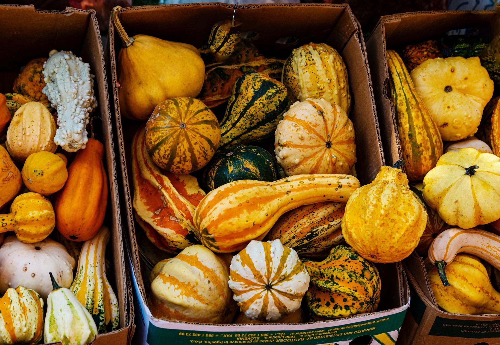 These vegetables also contain a decent amount of potassium (Image via Pexels/Ivan)