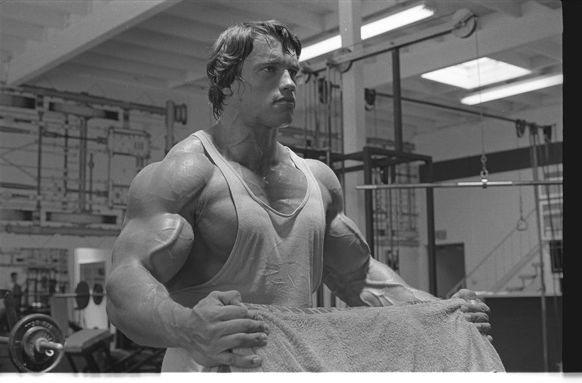Arnold Schwarzenegger (Image via Born Fitness)