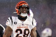 AFC Divisional Playoffs - Cincinnati Bengals v Buffalo Bills