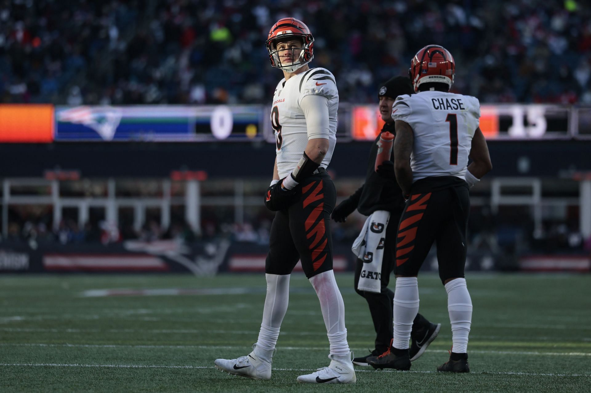 Cincinnati Bengals v New England Patriots