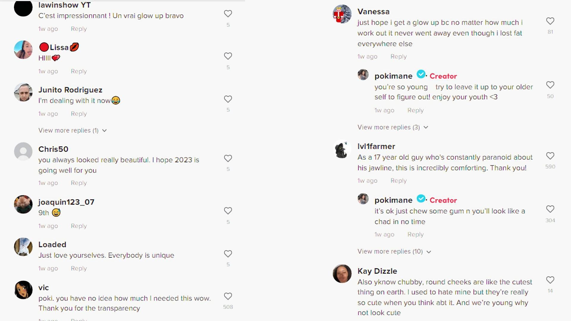 TikTok comments praising Imane&#039;s advice (Image via Poki/TikTok)