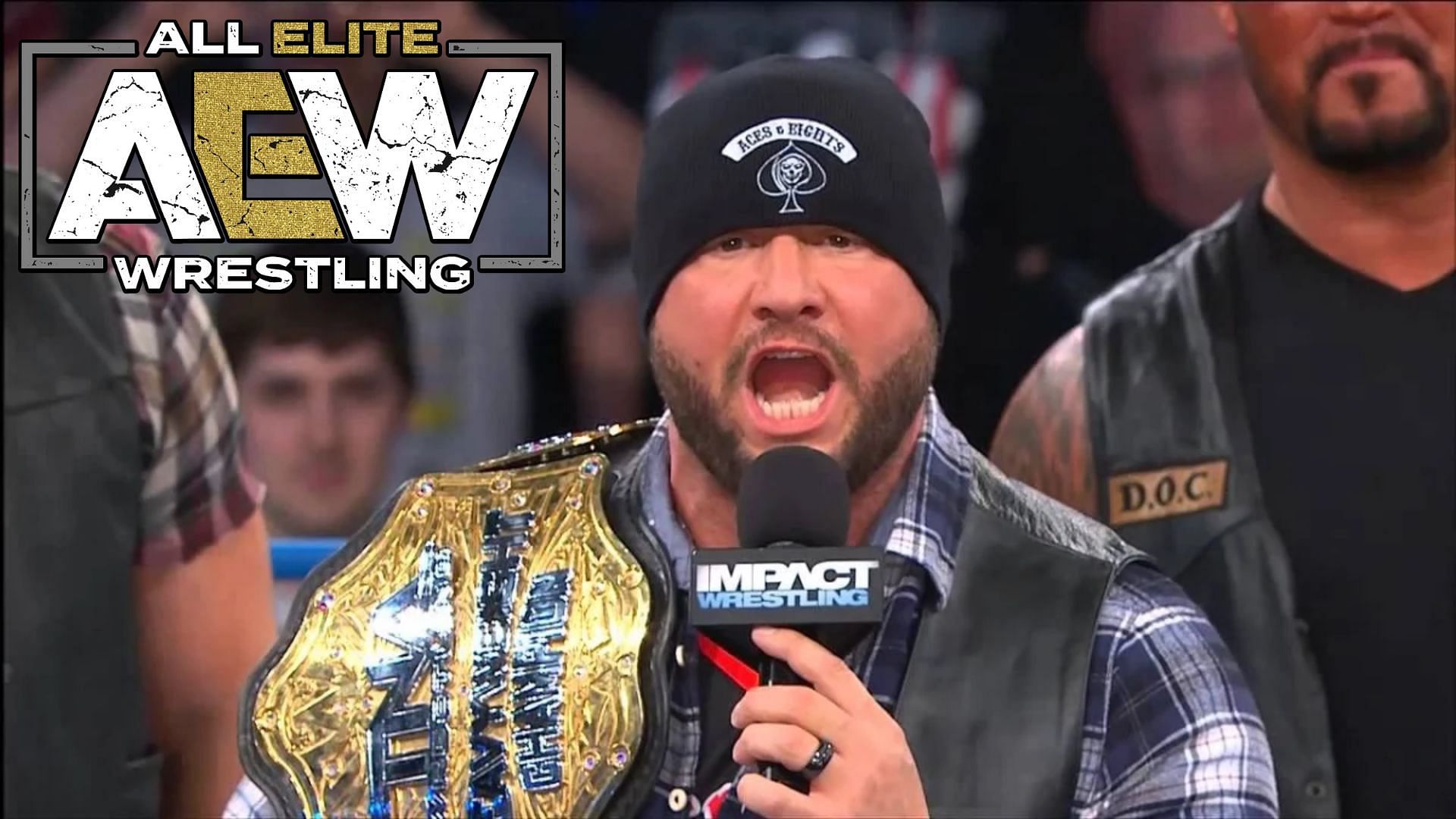 Bully Ray (Bubba Ray Dudley) is a veteran of both WWE and TNA.