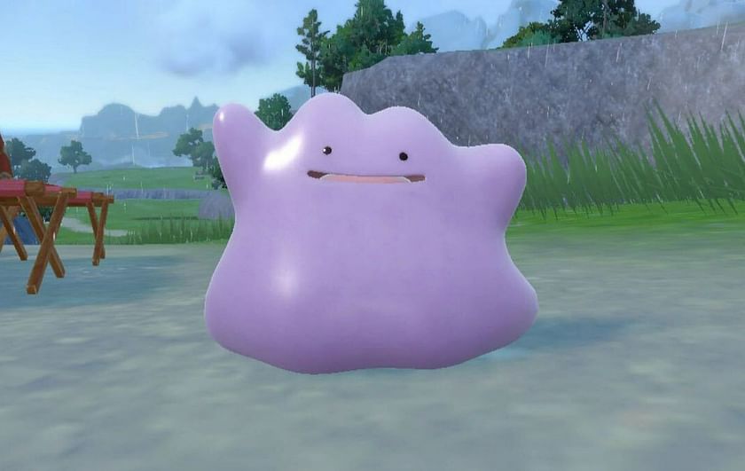 Pokemon Sword and Shield Ditto