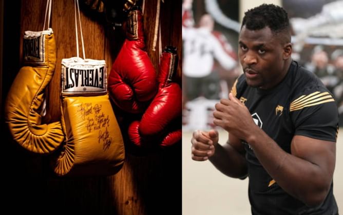 Former pro-boxer claims Francis Ngannou "will not survive" against any prominent boxer in the squared circle