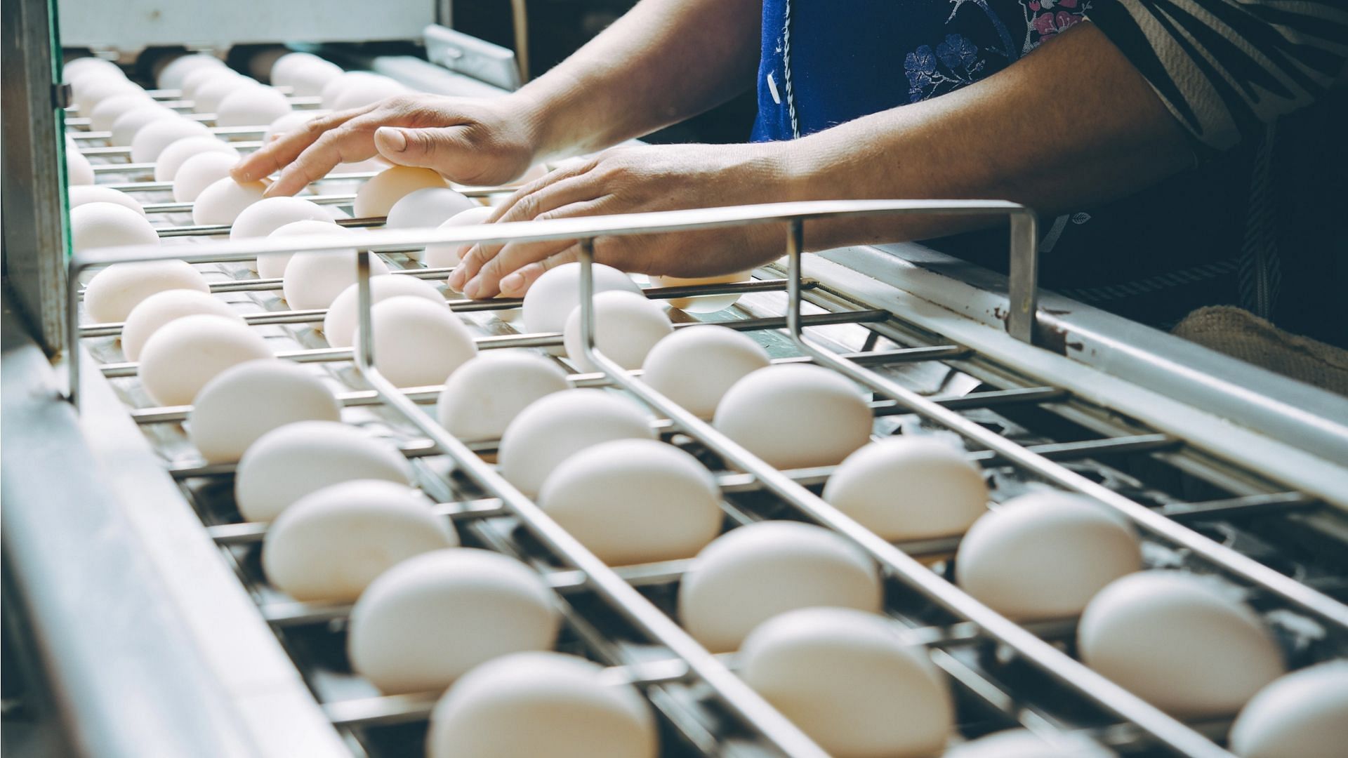 a worker shorts eggs at an egg factory plant amidst the rising egg prices (Image via Agnormark/Getty Images/iStockphoto)