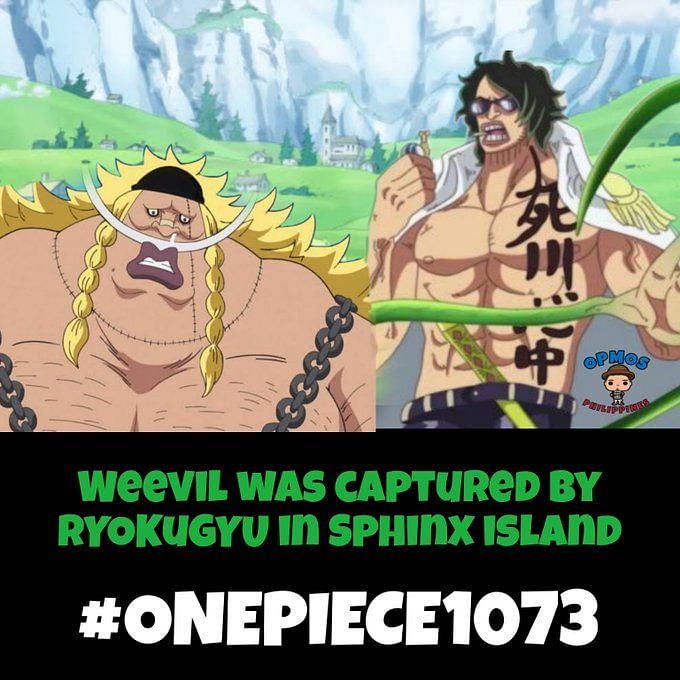 Powerscaling One Piece 1073: Stussy wrecks Lucci, Zoro intimidates S ...