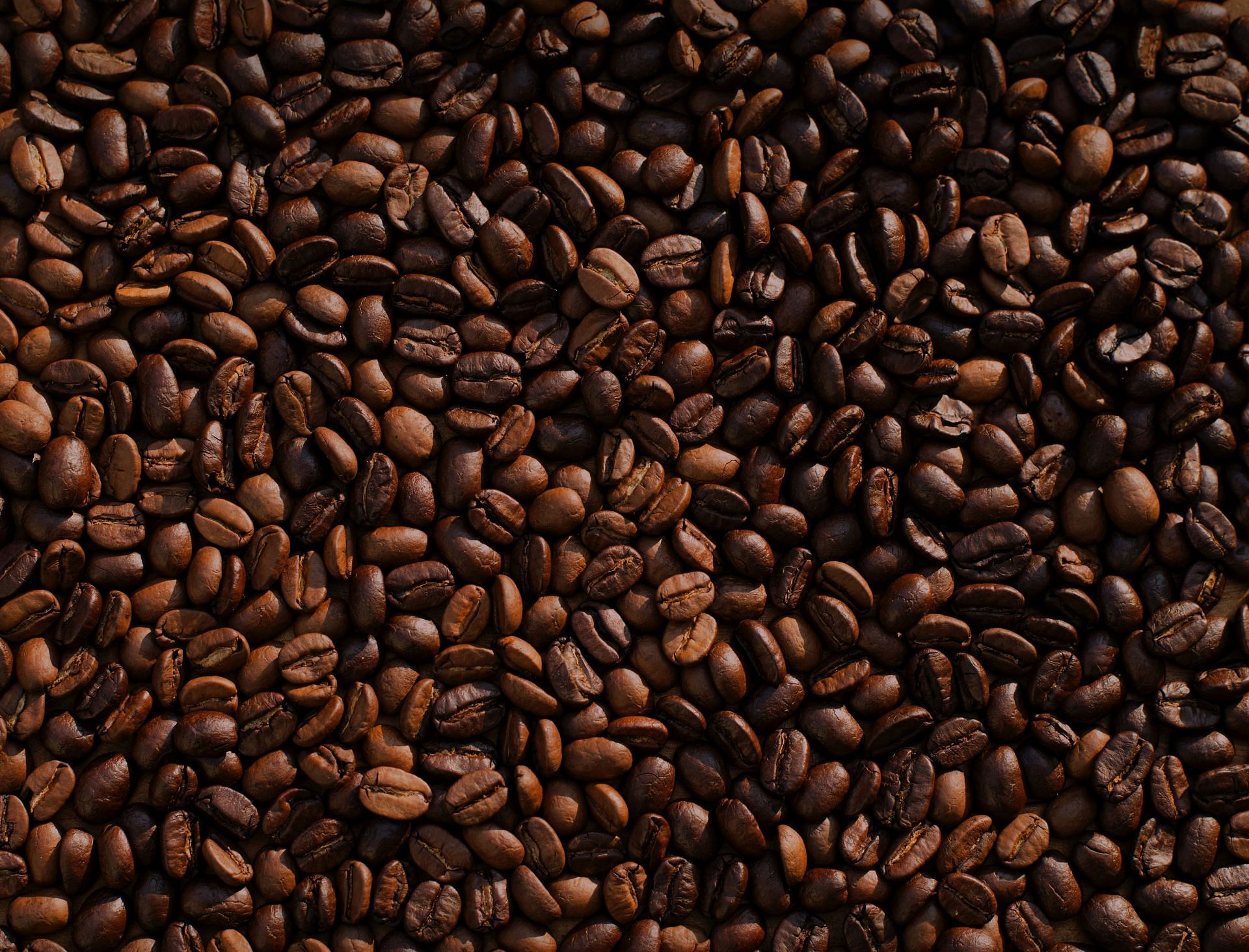 Different types of coffee beans are explained. (Image via Unsplash / Mike Kenneally)